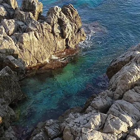 La Gabbianella *